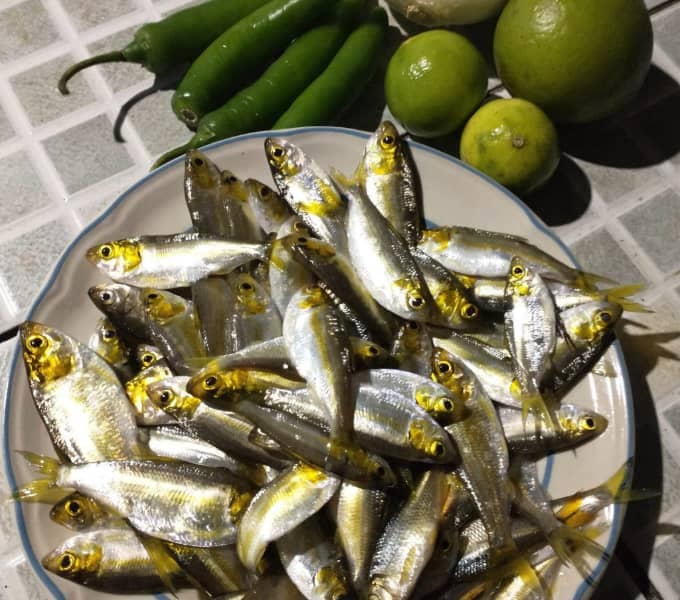 Topotes frescos en plato al lado de chile serrano y limon