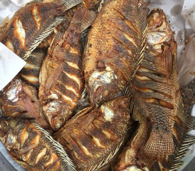 Mojarra frita lista para comer en catemaco